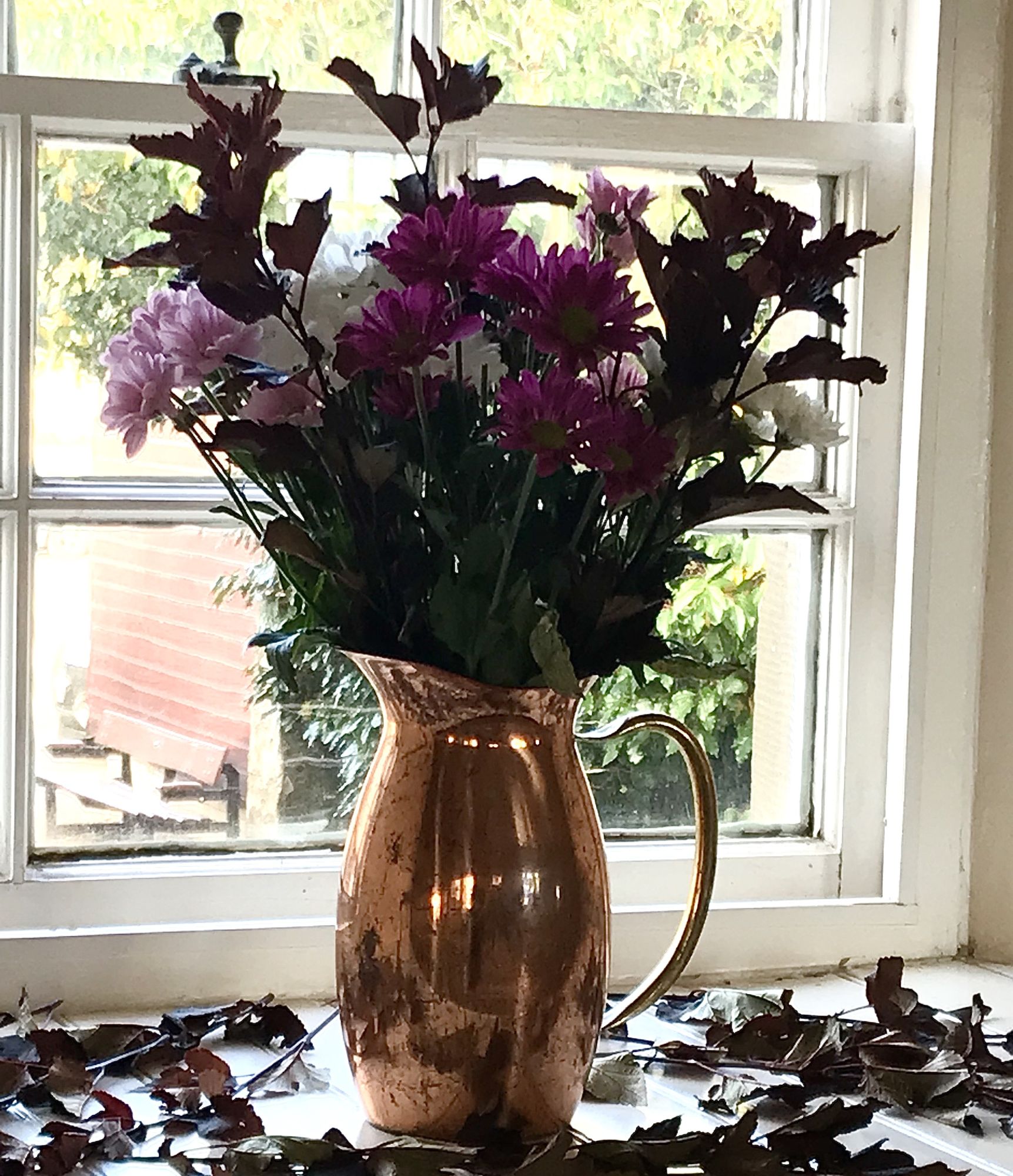 Rotator image unavailable