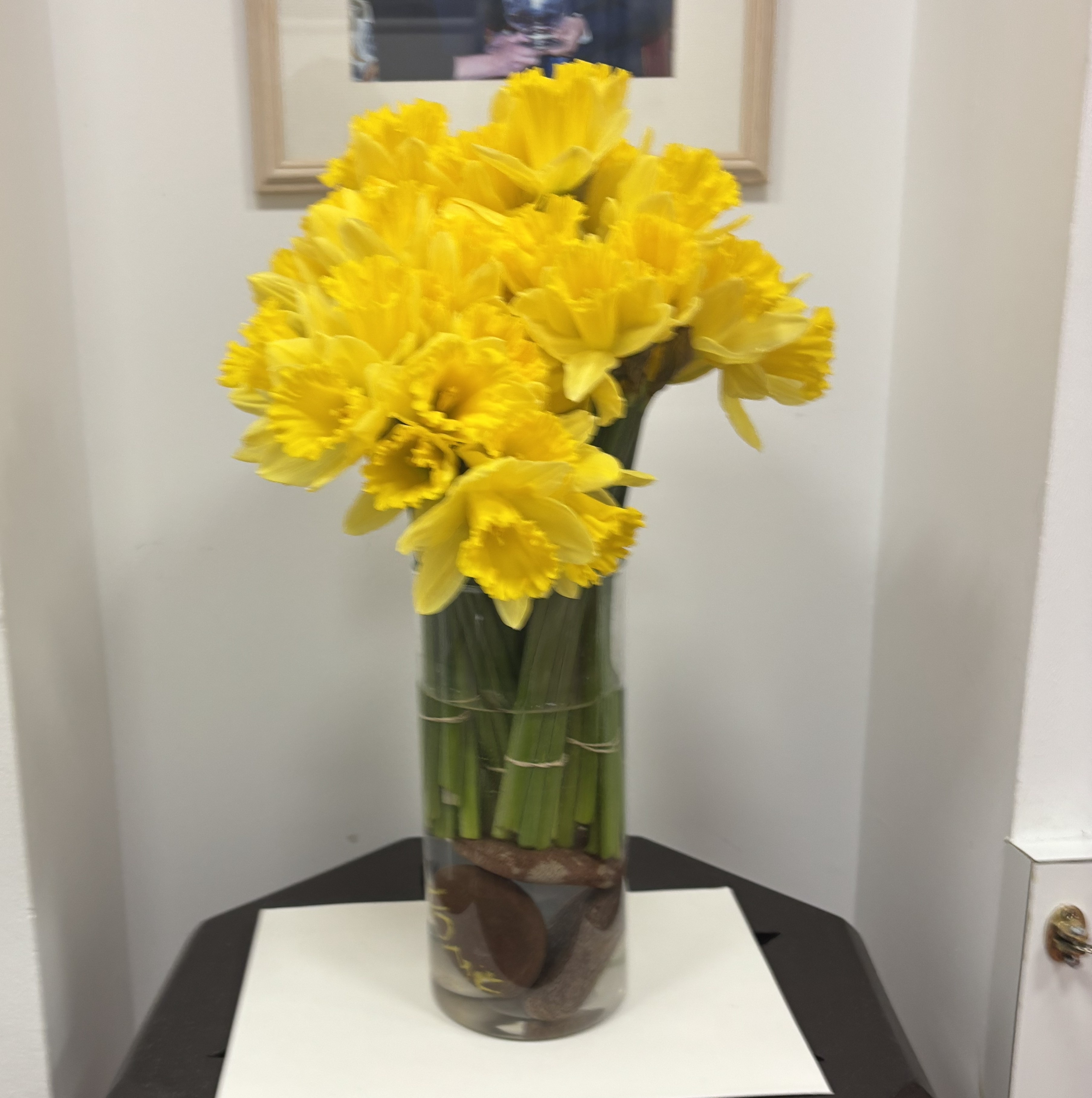 Rotator image unavailable